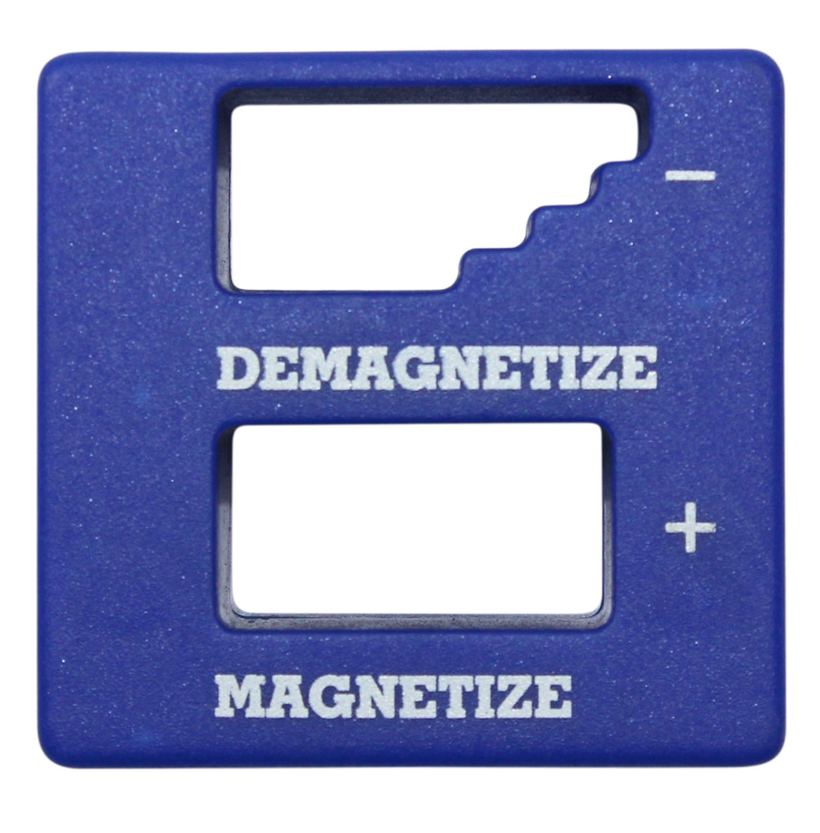 Magnetisointirasia