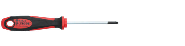 Ruuvitaltta Torx 10 × 80 mm