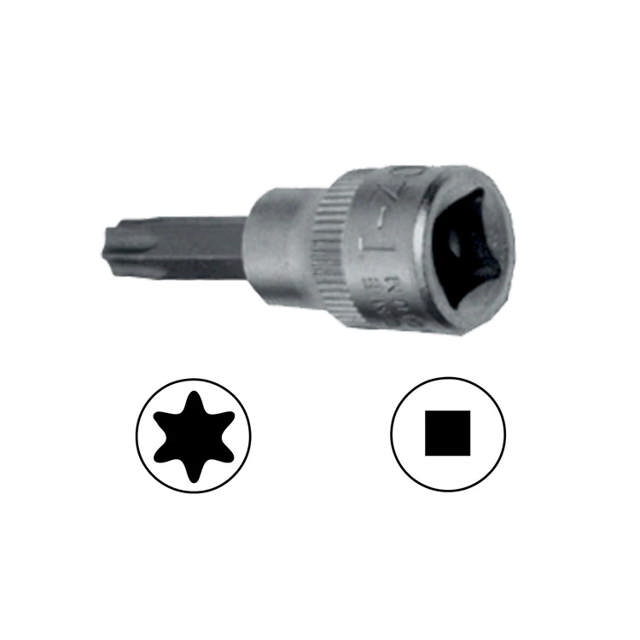 Magnethylsor TORX