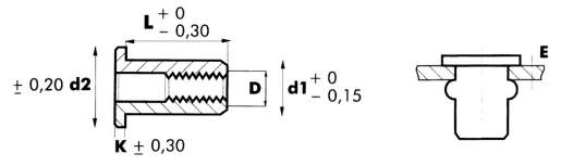 Kierteitetyt niitit M6 x 14,5 mm A2, 250 kpl.